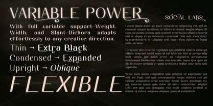 Dichora Font Poster 3