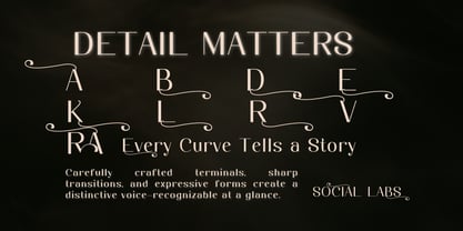 Dichora Font Poster 5