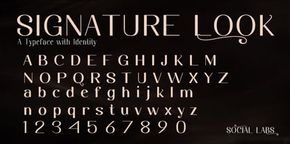 Dichora Font Poster 6