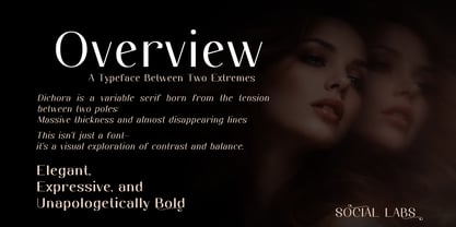 Dichora Font Poster 2