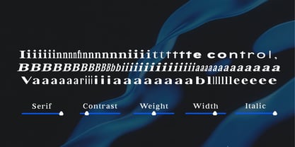 Bia Font Poster 5