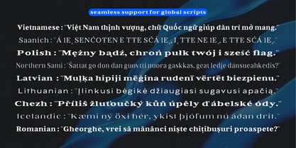 Bia Font Poster 8