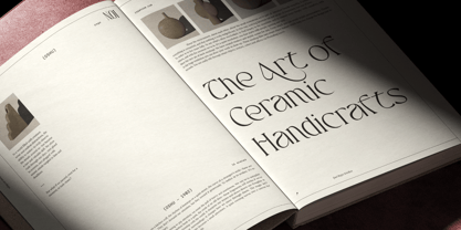 Aveltin Font Poster 11