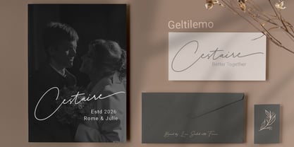 Delyra Script Font Poster 3