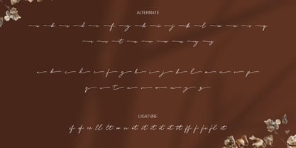Delyra Script Font Poster 12