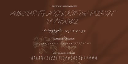 Delyra Script Font Poster 11
