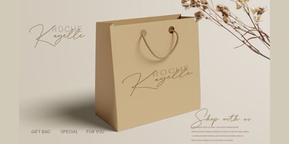 Delyra Script Font Poster 6