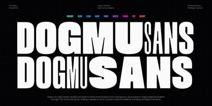 TBJ Dogmu Font Poster 1