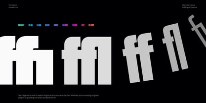 TBJ Dogmu Font Poster 4