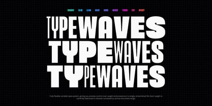 TBJ Dogmu Font Poster 5
