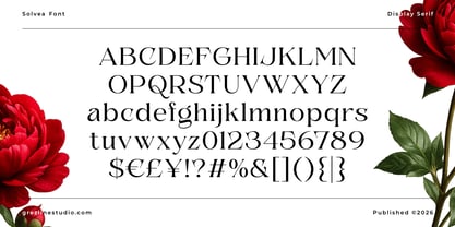 Solvea Font Poster 12