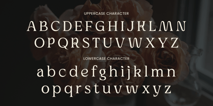 Chromeo Font Poster 11