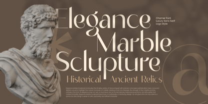 Chamer Font Poster 8