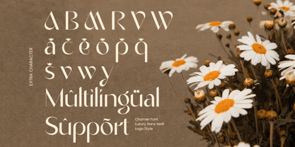 Chamer Font Poster 12