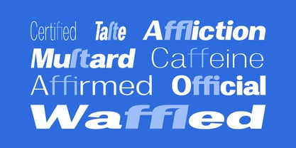 Degora Font Poster 14