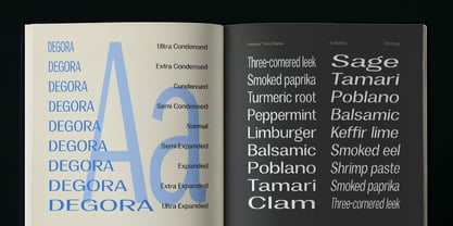 Degora Font Poster 6