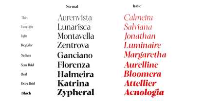 Gustian Font Poster 12
