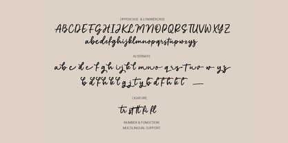 Casual Flow Font Poster 7