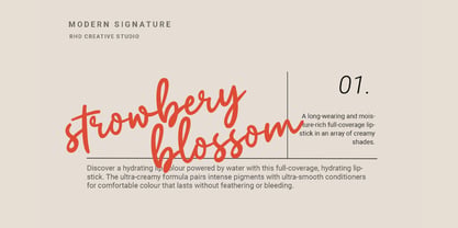 Casual Flow Font Poster 3