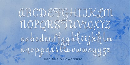 Fern and Thistle Font Poster 6