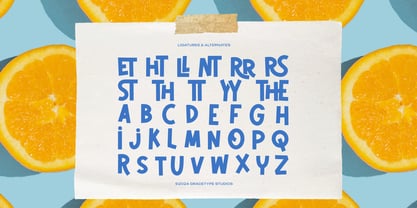 Citrida Font Poster 12