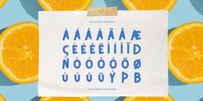 Citrida Font Poster 11