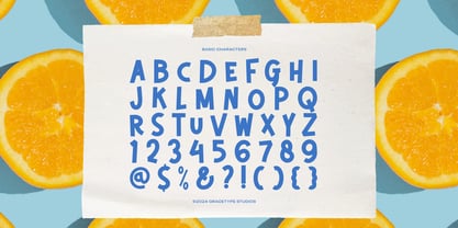 Citrida Font Poster 10