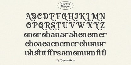 Perfect Mangue Font Poster 10