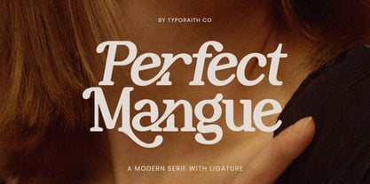 Perfect Mangue Font Poster 1