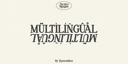 Perfect Mangue Font Poster 9