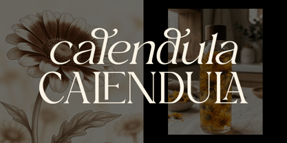 Magnola Font Poster 3