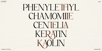 Magnola Font Poster 10