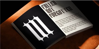DG Wrapelum Font Poster 7