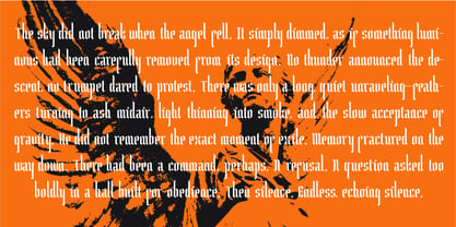 DG Wrapelum Font Poster 5