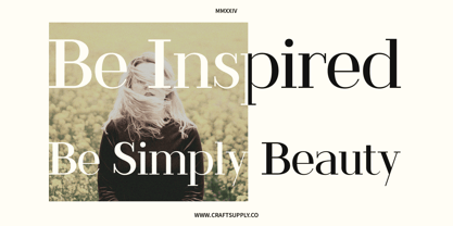 Ripete Font Poster 4