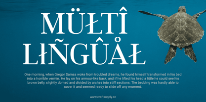 Jevale Font Poster 5