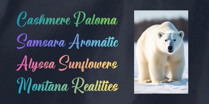 Meliga Font Poster 11