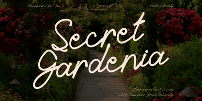 Rosy Meadow Font Poster 2