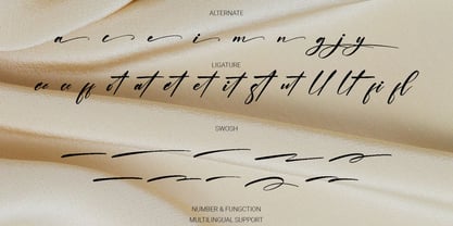 Amorelle Font Poster 9