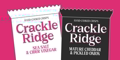 Bruchey Font Poster 15