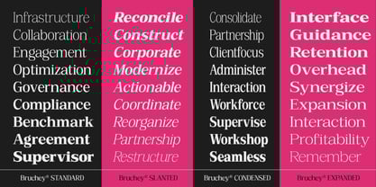 Bruchey Font Poster 2