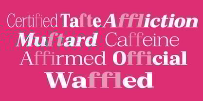 Bruchey Font Poster 14