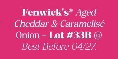 Bruchey Font Poster 8