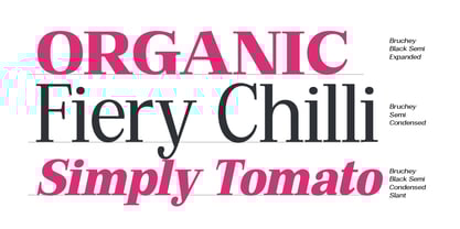 Bruchey Font Poster 9