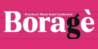 Bruchey Font Poster 4