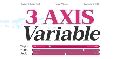 Bruchey Font Poster 13