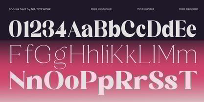 Sharink Font Poster 14