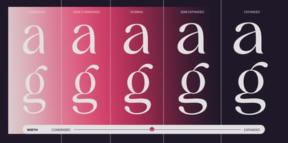 Sharink Font Poster 10