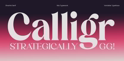 Sharink Font Poster 3