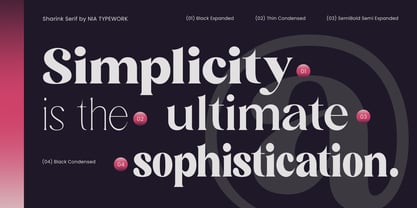 Sharink Font Poster 2